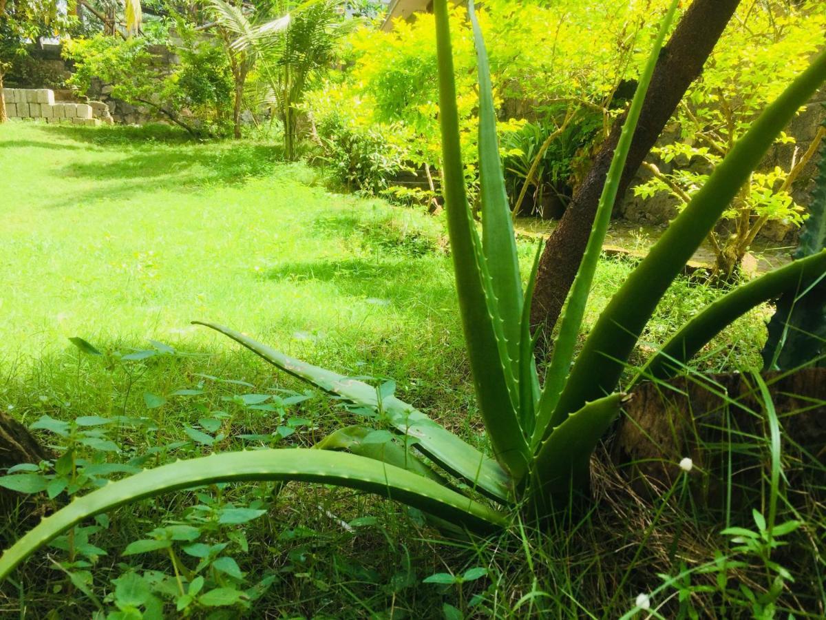 Ganesh House Ayurveda Homestay Kovalam Bagian luar foto